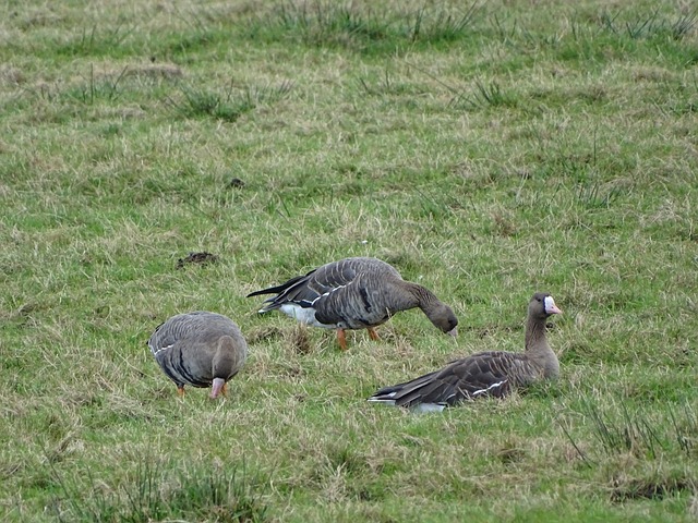 成為一支真 成為一支真
