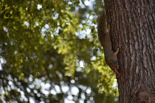 女足的精彩 女足的精彩