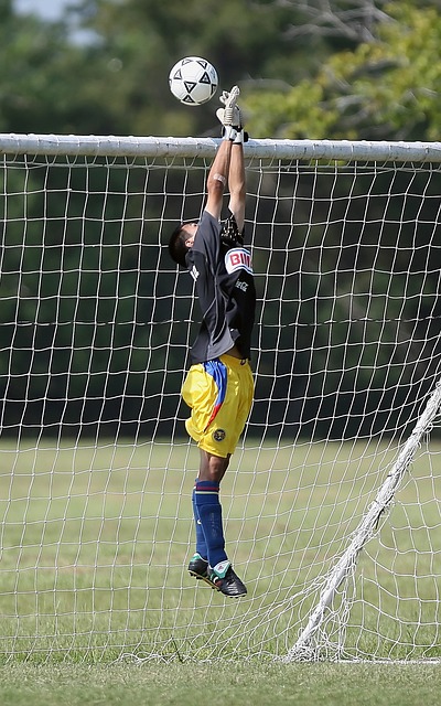 下來的聯賽 下來的聯賽