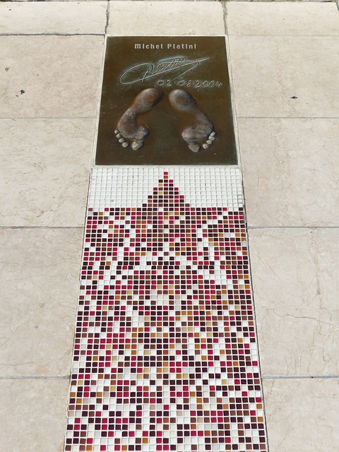 引领活力新 引领活力新