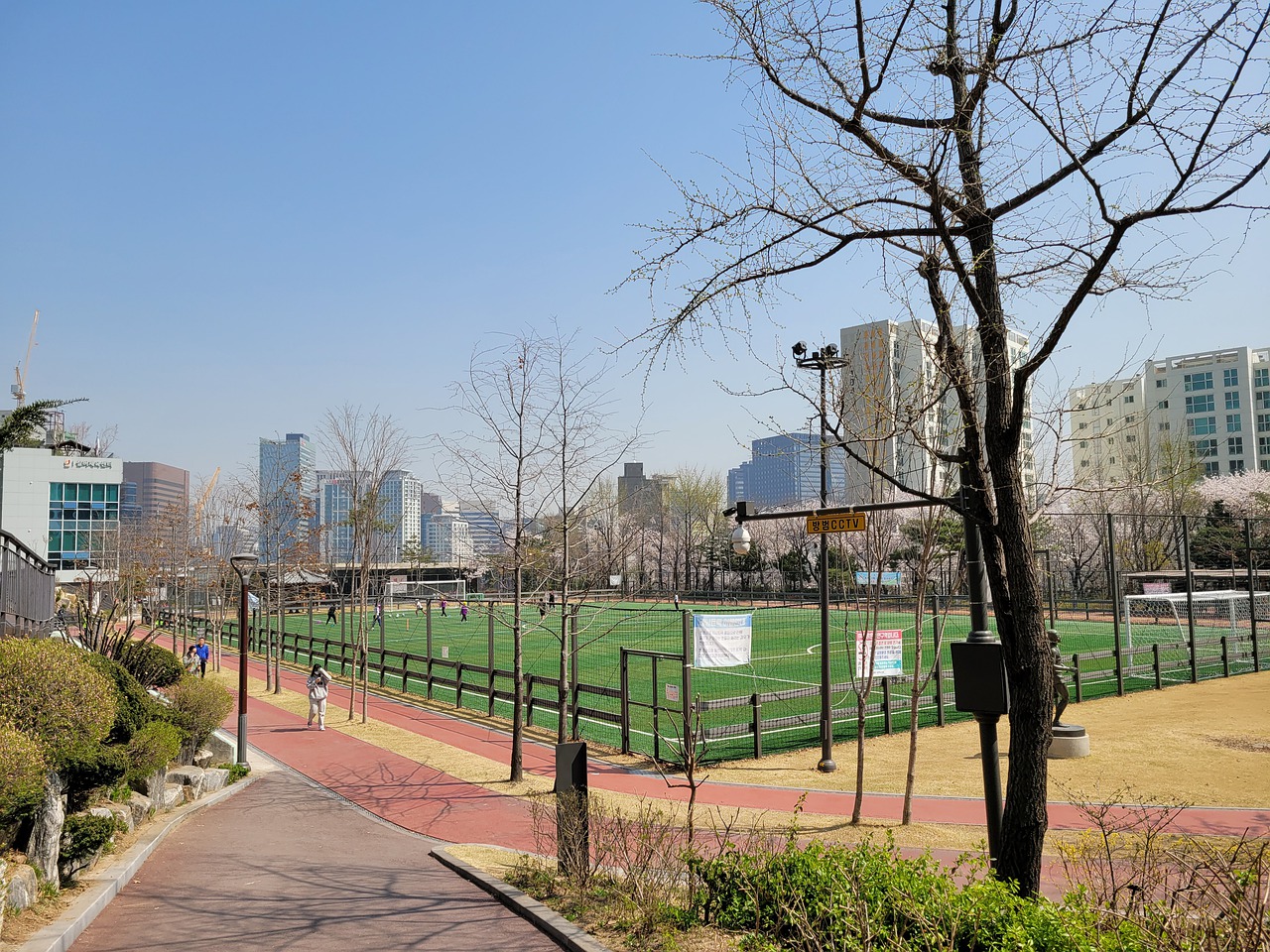 了争夺冠军 了争夺冠军