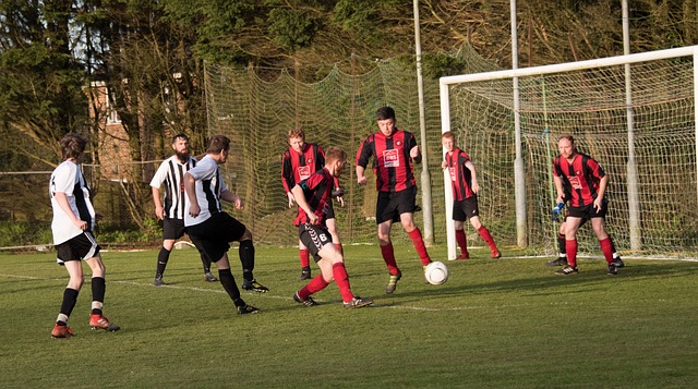 新的重要性 新的重要性