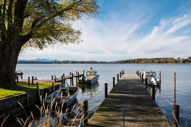 仁球员如格 仁球员如格